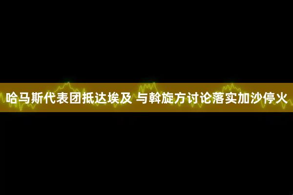 哈马斯代表团抵达埃及 与斡旋方讨论落实加沙停火