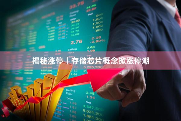 揭秘涨停丨存储芯片概念掀涨停潮