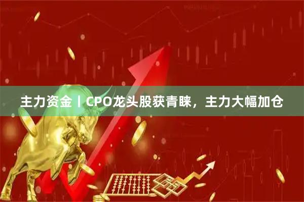 主力资金丨CPO龙头股获青睐，主力大幅加仓