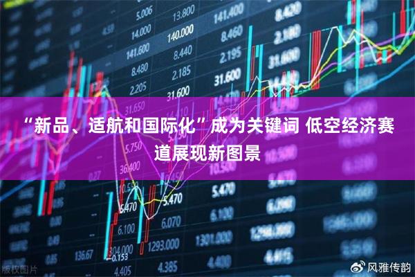 “新品、适航和国际化”成为关键词 低空经济赛道展现新图景
